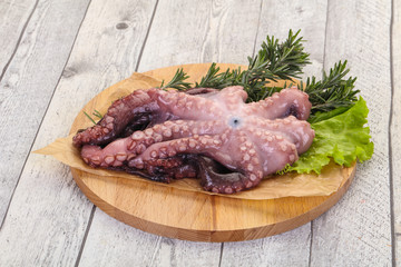 Raw octopus ready for cooking