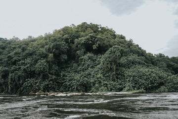 Fototapeta premium Landscape in Murchison Falls