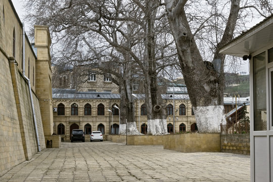Plane-trees of Juma mosque