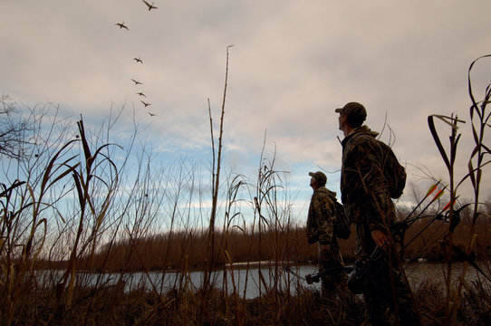 Two bow hunters watching geese fly over head at the river's edge.
