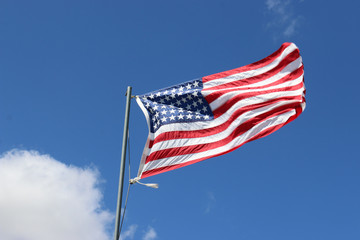 Obraz premium American national flag