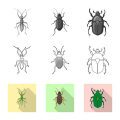 Vector design of insect and fly sign. Set of insect and element stock symbol for web.