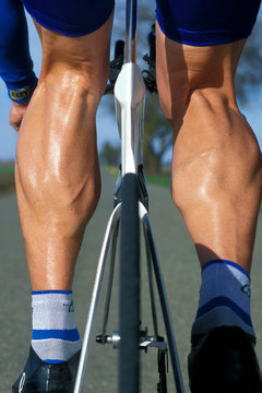 Cyclist's Muscular Calves.