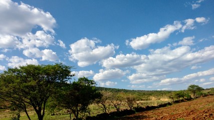 Paisaje cerro