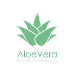 Vera plant vector icon