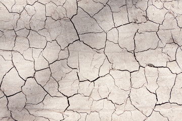 dry cracked earth