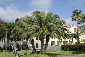 FUNCHAL