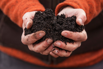 Two cupped hands holding black soil