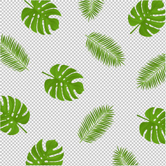 Monstera And Palm Branch Transparent Background