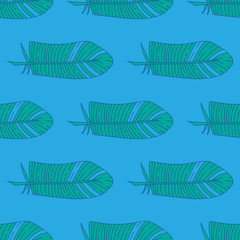 Featers vector pattern