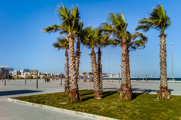 Obraz premium Waterfront of Tangier, Morocco