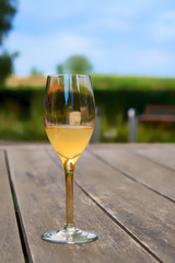 Wine glass on a wooden table with green garden and blue sky in the background.