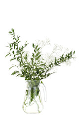 Fototapeta na wymiar Gypsophila flowers and green leafs in glass jug on white background