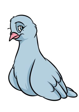 Dove bird animal character cartoon illustration isolated image