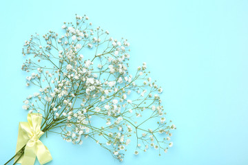 White gypsophila flowers with ribbon on blue background