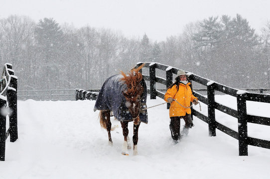 Woman Carrying Horse In Snowy Landscape
