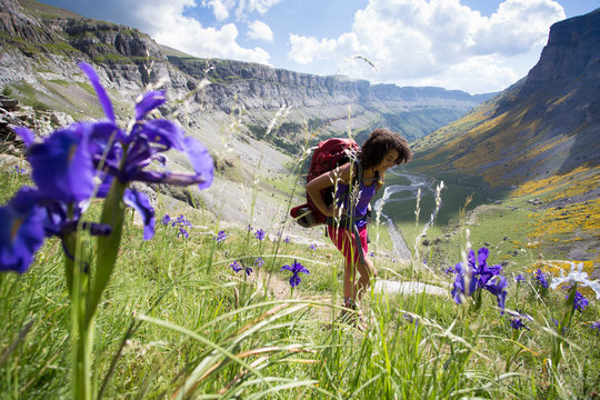 Woman hiking in Ordesa valley in Pyrenees, Ordesa y Monte Perdido National Park, Huesca, Aragon, Spain