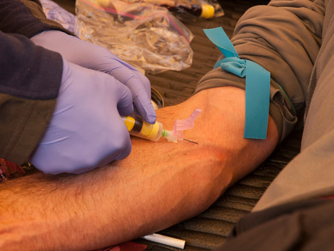 A medical doctor is drawing blood from the antecubital vein, as part of a medical research study to altitude sickness on Denali in Alaska.
