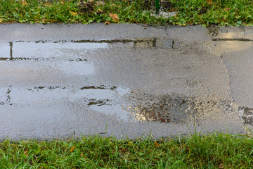 puddles on the wet asphalt track in the rain. green grass on the roadsides