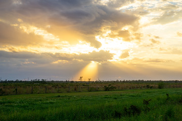 Sunset over cow pastures in western Martin County, Florida, USA