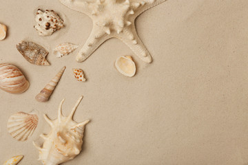 Fototapeta na wymiar Flat lay composition with sea shells, starfish and space for text on beach sand