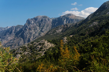 Fototapeta na wymiar Mountain range Lovcen in summer, Montenegro