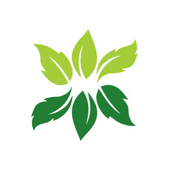 Phytoterapy icon on background for graphic and web design. Simple vector sign. Internet concept symbol for website button or mobile app.