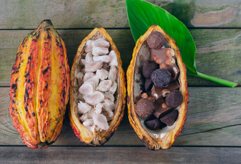 Cob of cocoa and pieces of chocolate on wooden background. Space to copy.