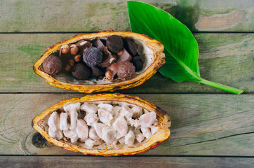Cob of cocoa and pieces of chocolate on wooden background.