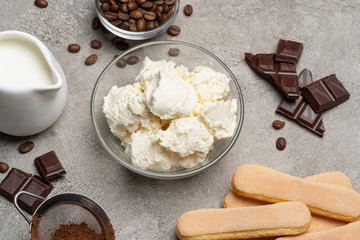 Ingredients for cooking tiramisu - Savoiardi biscuit cookies, mascarpone, cream, sugar, cocoa, coffee and egg