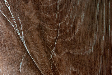 Old wooden texture for background in rustic style. Free space for text. Bark of aged tree.
