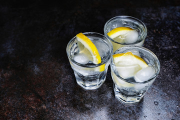 gin and tonic with lemon and ice on wooden table