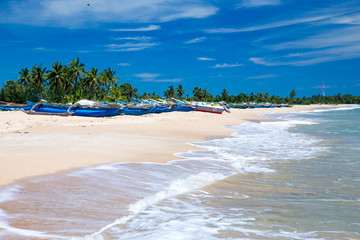 tropical beach in Sri Lanka . Summer holiday and vacation concept for tourism.