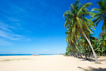 tropical beach in Sri Lanka . Summer holiday and vacation concept for tourism.