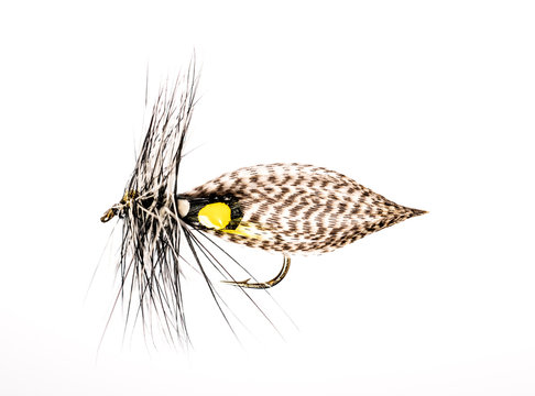Close-up of fly lure
