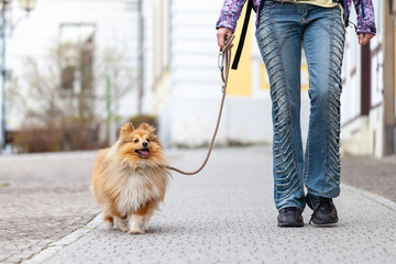 A woman leads her dog on a leash