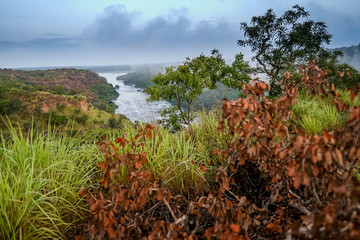 Landscape in Murchison Falls