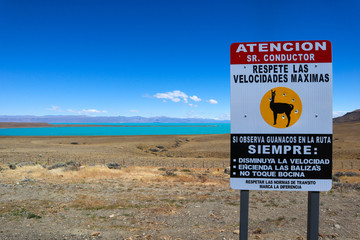 guanaco  sign board