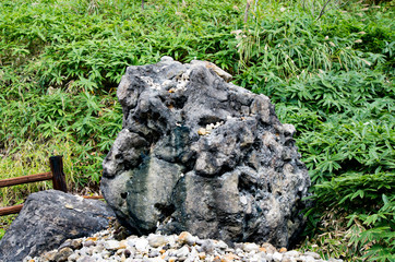 那須高原の岩　無人