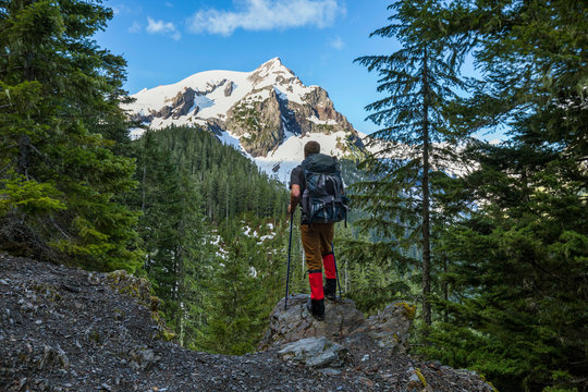Hiker in natural setting with view of mountain peak, Mount Olympus, Washington State, USA