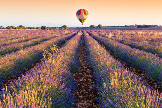 Balloon over Lavender plantation, Brihuega, Spain