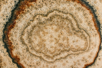 Macro stone mineral Datolite-wollastonite Scarn on a black background