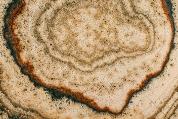 Macro stone mineral Datolite-wollastonite Scarn on a black background