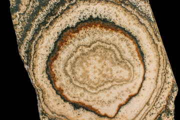 Macro stone mineral Datolite-wollastonite Scarn on a black background