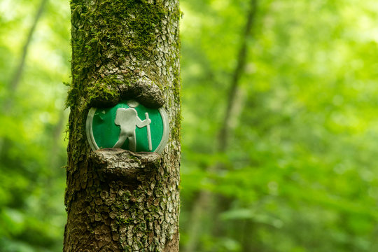 Trail marker in Virgin Falls State Natural Area, Sparta, Tennessee.