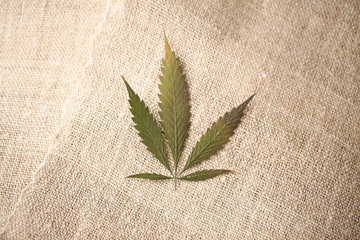 hemp fiber fabric