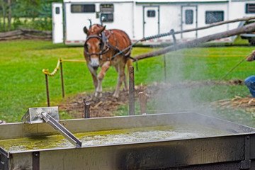 Making molasses with mule drawn equipment in Cades Cove.