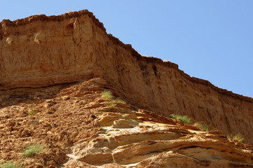 Fototapeta premium Sand dune