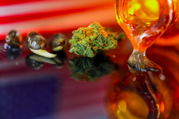 Medical Seeds and Oil  Cannanis - Germinating Seeds with Oil Cannabis CBD THC on the mirroring black background with American Flag, macro view.