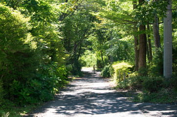 那須高原の山道
